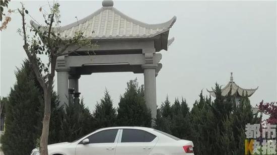 调查员:“那些树是干啥的?”