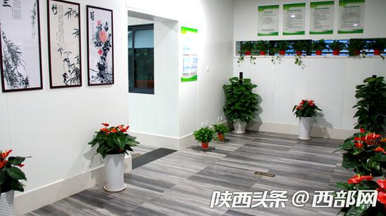 公厕大厅被装饰画和绿植精心装饰。
