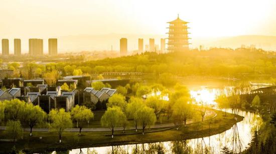 金融橄榄枝，助力会展企业健康发展