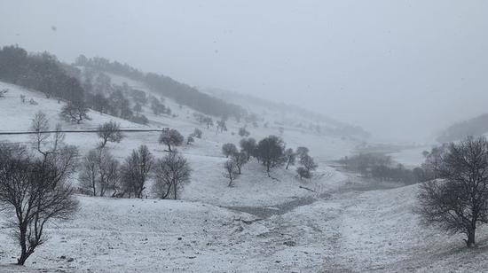 關(guān)山草原迎降雪