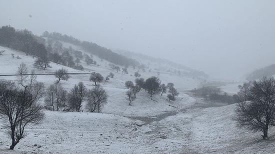 关山草原迎降雪