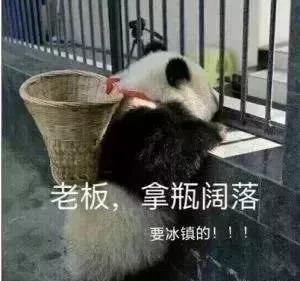 所有人都在感叹