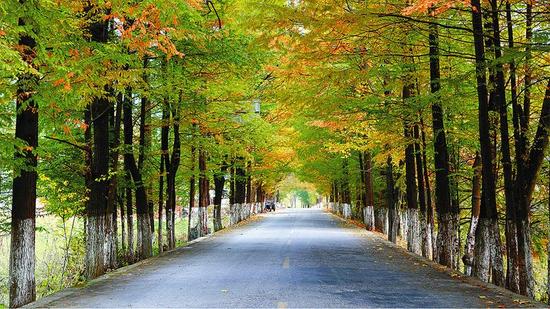 美麗鄉(xiāng)村