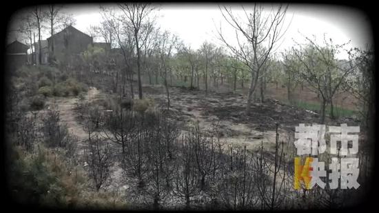 村民：“火勢(shì)大得很，火焰有五六米高。”