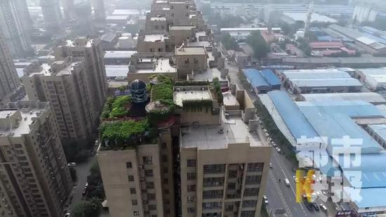 赵先生告诉记者，从2015年到2017年，他花了两年时间自费建好了这楼顶的花园。