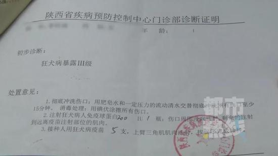 随后,乐乐在陕西省疾控中心被诊断为狂犬病Ⅲ级暴露。