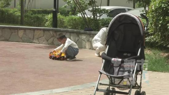 狗为什么总爱咬小孩,我们应该怎么避免?