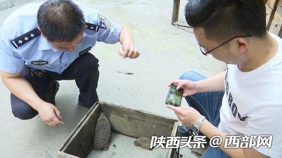 旬阳森林公安等在查看刺猬活动情况。