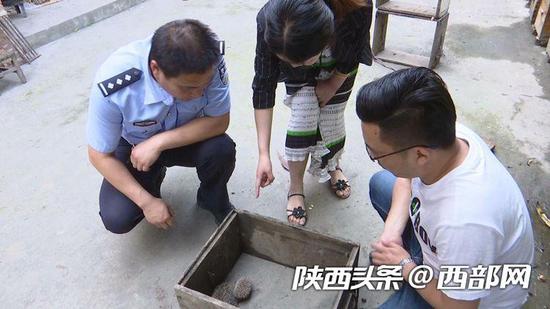 向女士给林业等部门人员介绍刺猬偷吃蜜蜂情况。