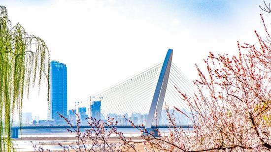 金融橄榄枝，助力会展企业健康发展