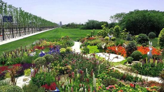 绿色环绕,鲜花相伴,西安会展新地标真靓!