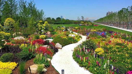 绿色环绕,鲜花相伴,西安会展新地标真靓!