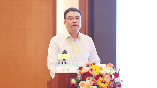 南京医科大学第一附属医院&nbsp;鲁严教授