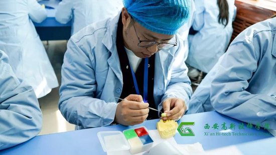 口腔修复体制作工赛项左上6蜡型实操