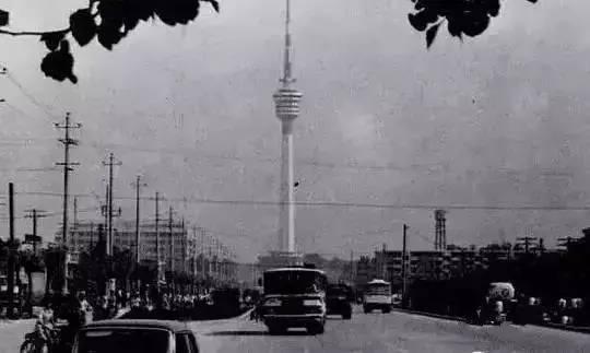 八十年的興慶公園