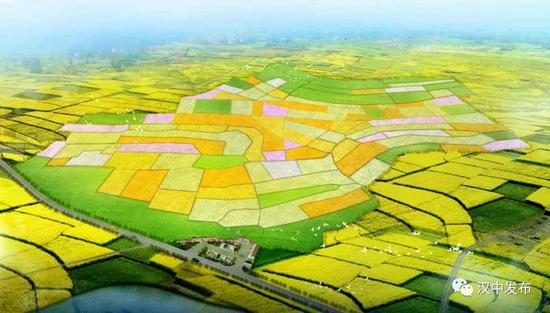 武乡邢家坝精品观花点