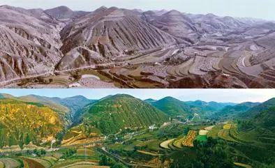 退耕还林20载,“黄土地”刷出“新颜值”。延安市吴起县铁边城镇上营盘山退耕前(上图)与退耕后(下图)对比(资料照片)。
