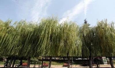 但其实它们可能是这样↓