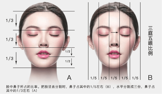 (三庭五眼参考图)