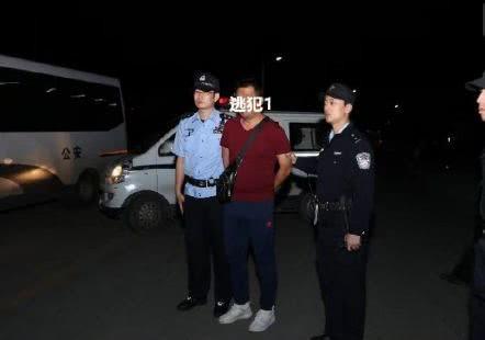网友们纷纷翻出了之前的经典对联,以表达自己的钦佩之情: