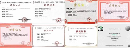 部分同学获奖证书