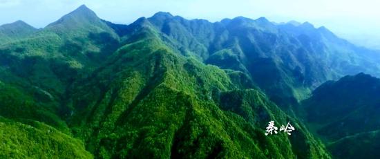 這里的前進步伐里飽含激情