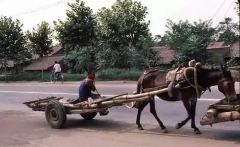 從城墻上鳥瞰西安城區
