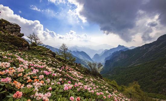 太白山高山美景。