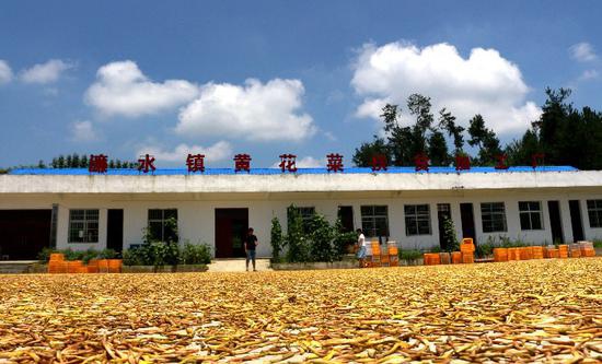 南郑县人口_南郑县附近的自然风光