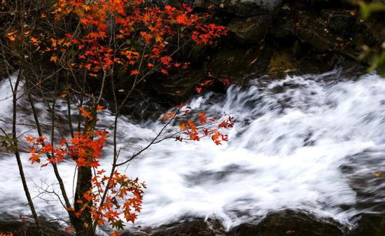 千层河旅游风景区