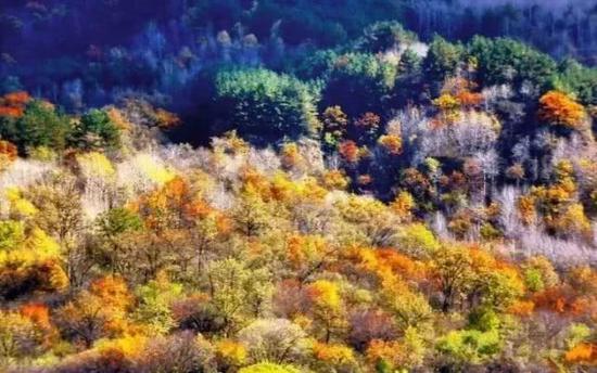 永宁山摩崖山寨