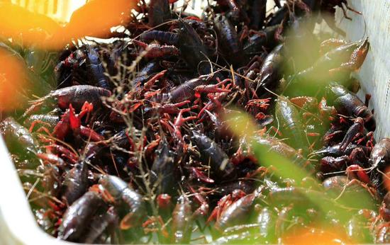 南郑人口数量_汉中南郑区地图(2)