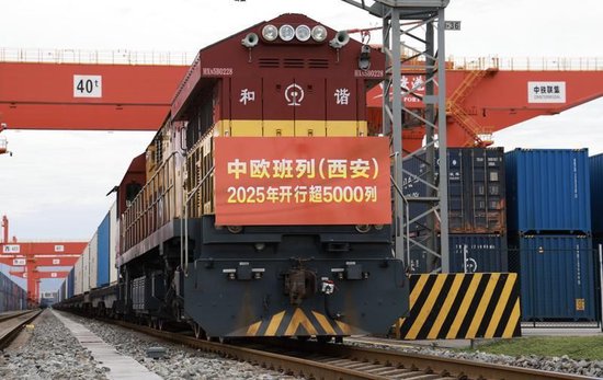 通讯员 杨玥 摄