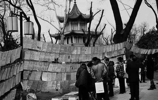 父母替兒女征婚或物色對象,成西安革命公園一景(資料圖片)