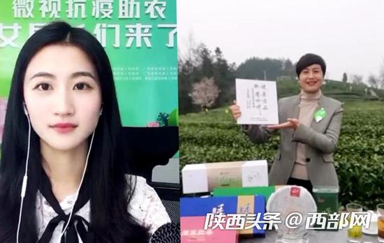 紫陽縣縣長陳蓮為紫陽縣富硒茶做代言