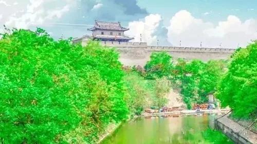 一畝樹林