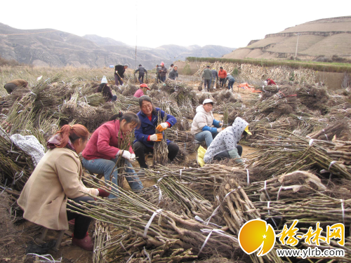 绥德gdp_陕西这9个县申报撤县设市了 赶紧看看有没有你的家乡...(2)