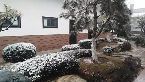 秦嶺野生動物園雪景↓