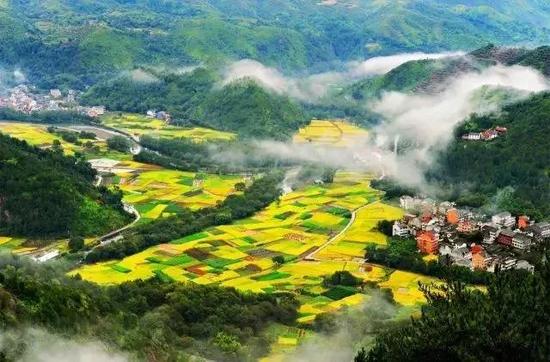 籬落疏疏小徑深，樹頭花落未成陰