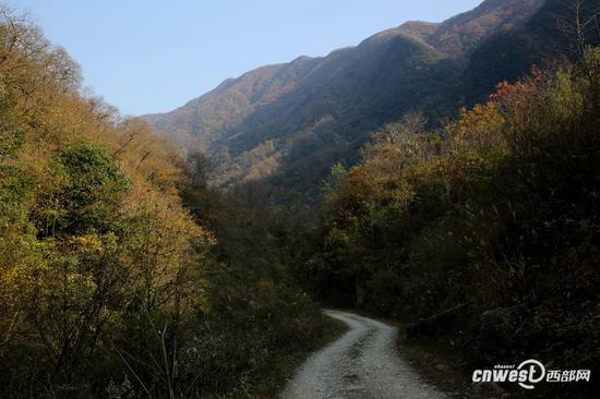 以前去镇上至少要走4个小时的山路，现在这条土路可以通汽车，这里的药材、蜂蜜运出去很方便。