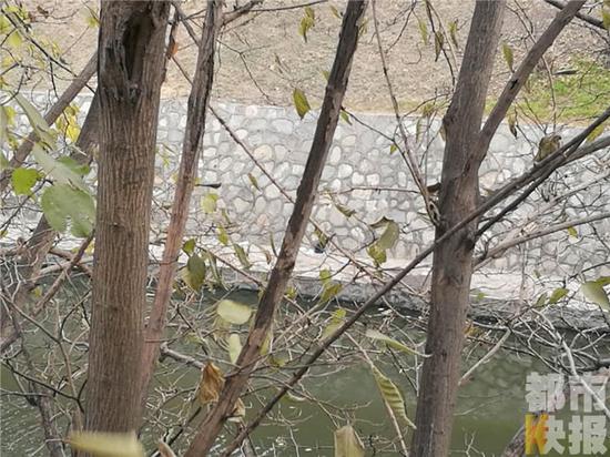 今天上午，有市民向记者反映，在西安市护城河里发现一名落水女子。