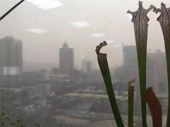 為什么全世界又背景虛化了