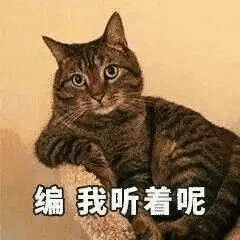 这时,穿马甲的小伙又急了。