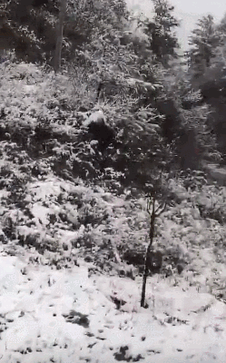 西安長安區(qū)降雪