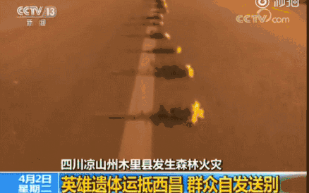 路面上擺放著菊花，