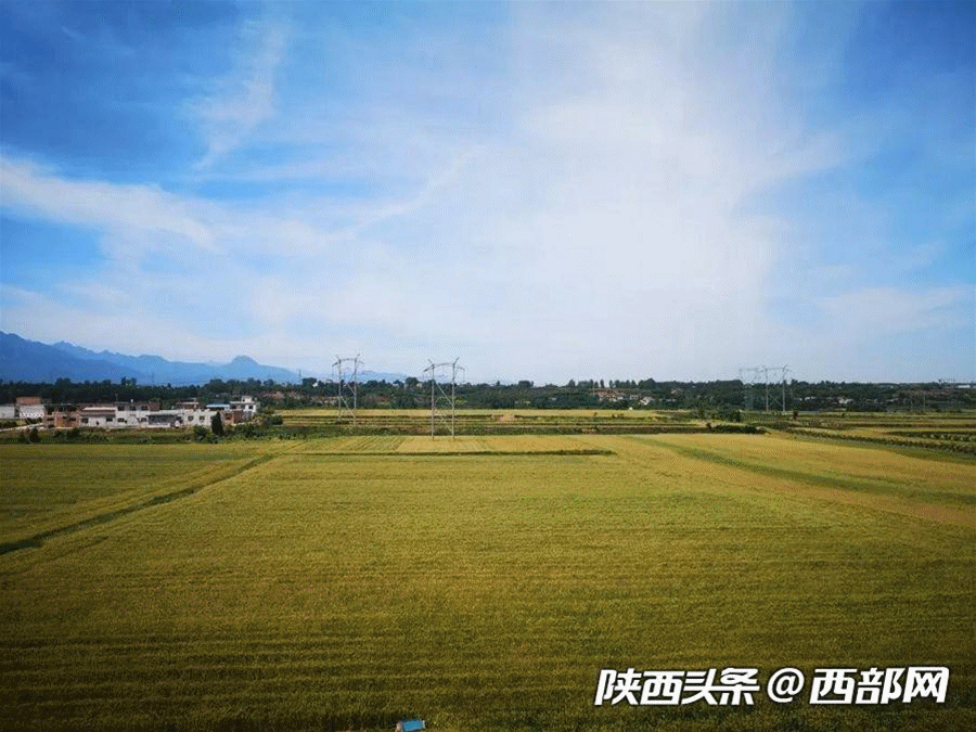 西安重心在城南,城南空间在长安。长安,可谓是西安城市化最大的受益者之一。
