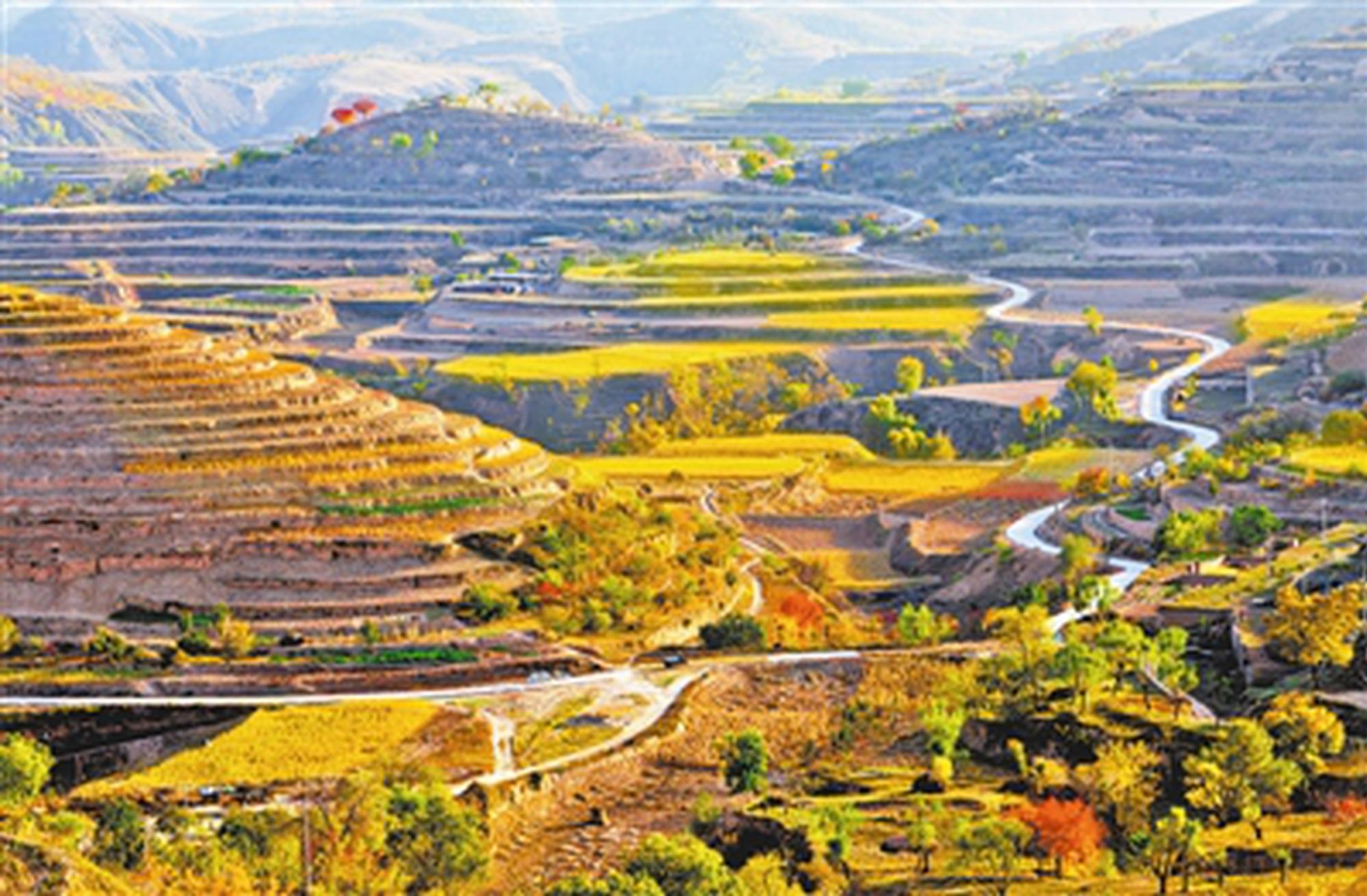 云霧盛境 詩(shī)意子洲