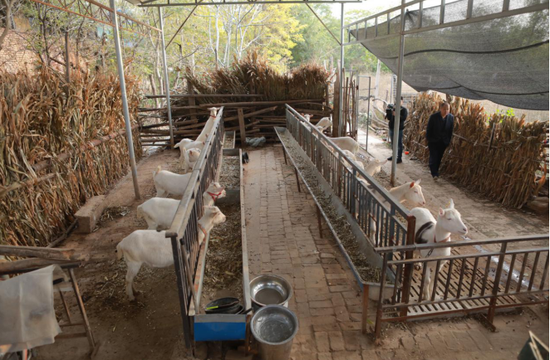富平县有多少人口_富平县地图