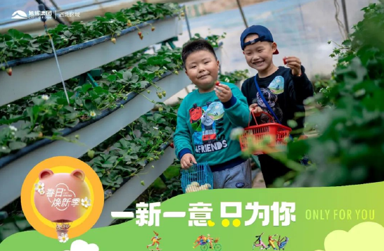 以上均为实拍图
