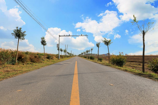 (道路绿化提升)